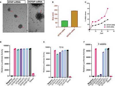 Protective RNA nanovaccines against Mycobacterium avium subspecies hominissuis